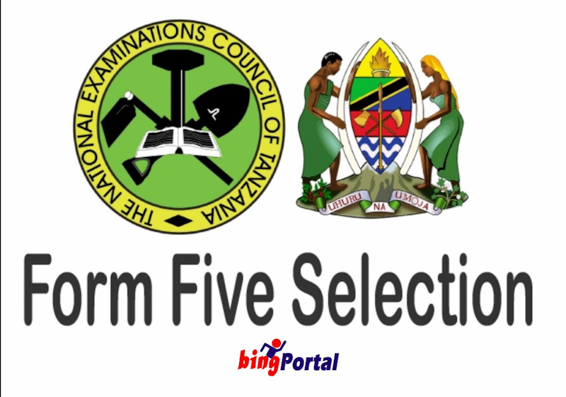 Form Five Selection 2024 Lindi Region