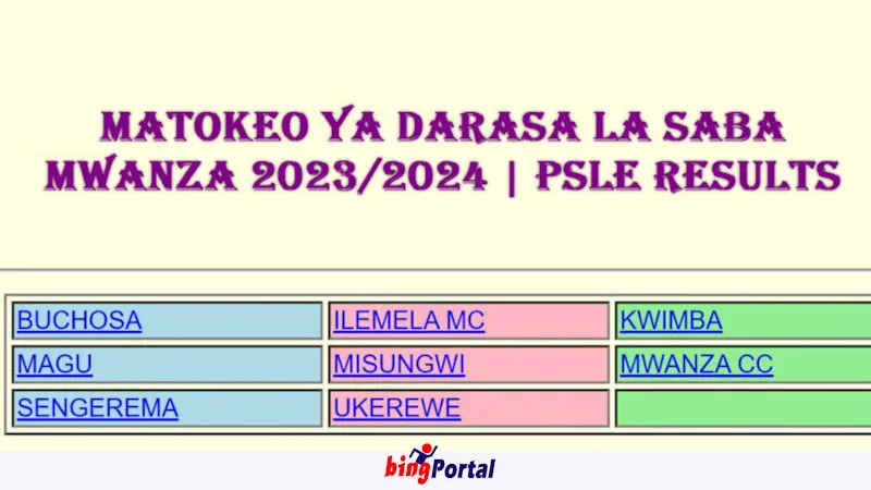 NECTA Matokeo Ya Darasa La Saba Mwanza Region 2023/2024