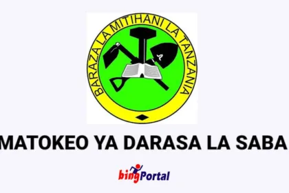 How to check NECTA Matokeo Ya Darasa La Saba Mtwara Region 2023/2024