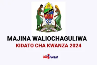 Form One Selection 2024 | Waliochaguliwa Kidato Cha Kwanza 2024