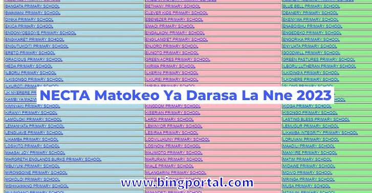 How to Check NECTA Matokeo ya Darasa la Nne 2023/2024