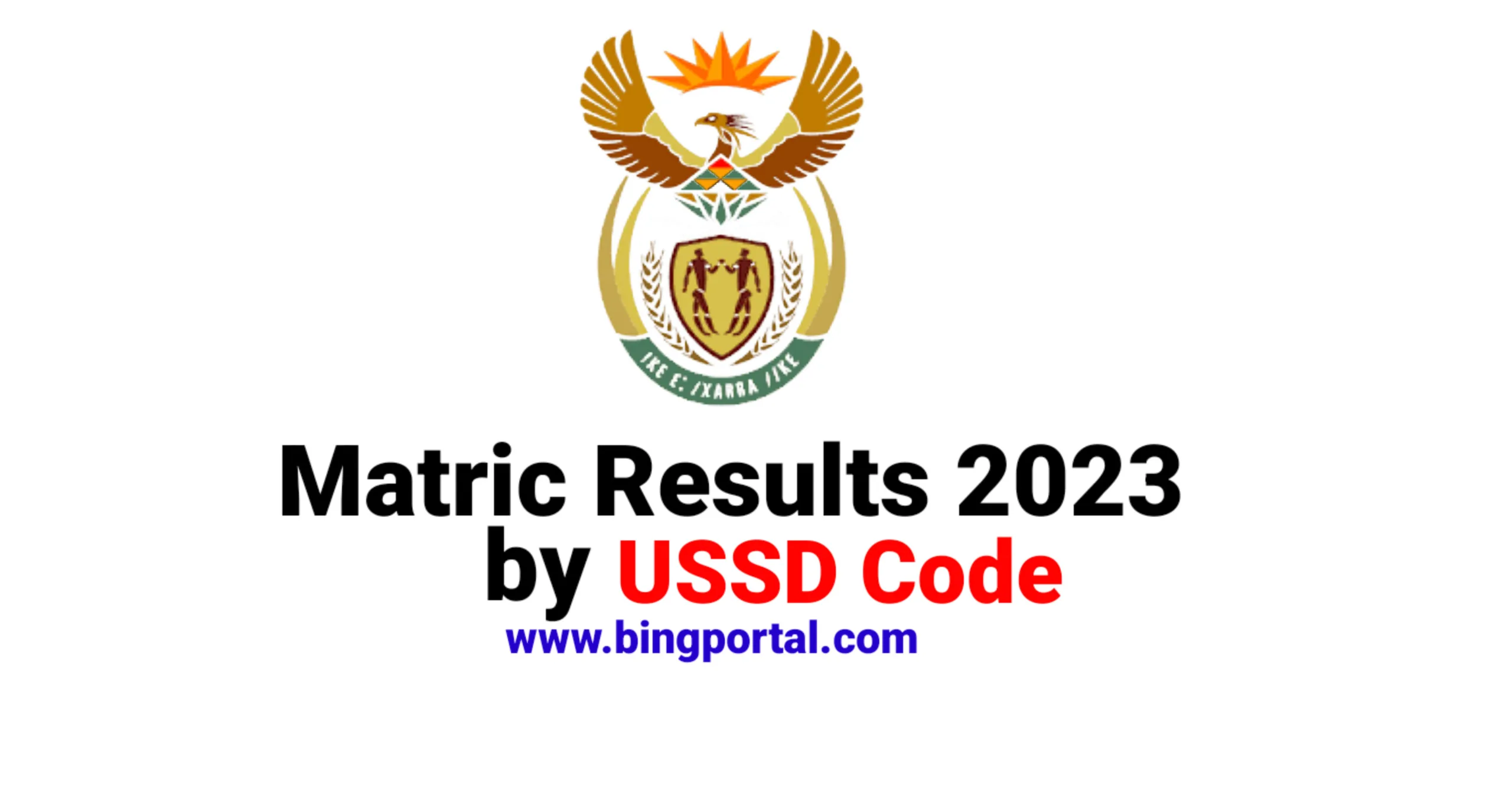 How to get 2023 Matric Results by USSD Code bing portal