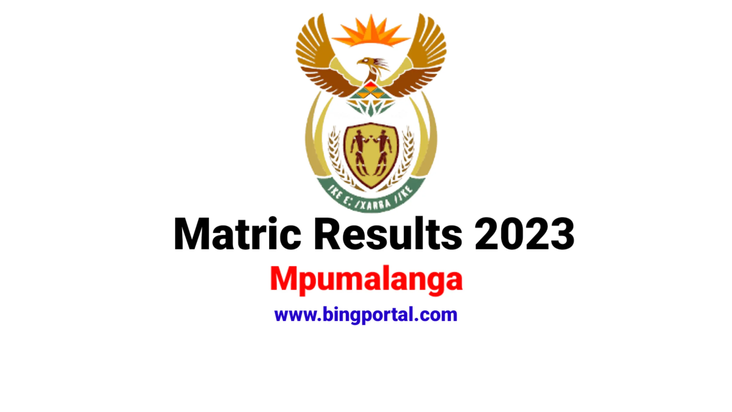 Mpumalanga Matric Results 2023 Check here bing portal