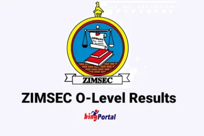 ZIMSEC O level Results 2023 - Check Here