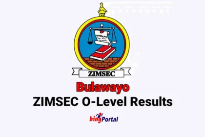 Bulawayo ZIMSEC O level results 2023 - Check here