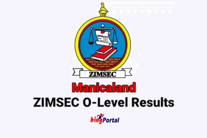 Manicaland ZIMSEC O level results 2023 – Check here