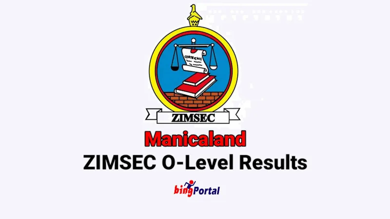 Manicaland ZIMSEC O level results 2024 – Check here