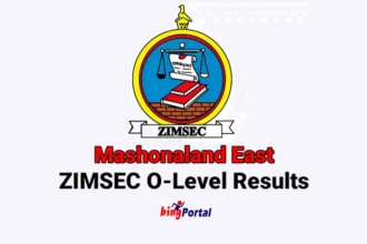 Mashonaland East ZIMSEC O level results 2023 – Check here