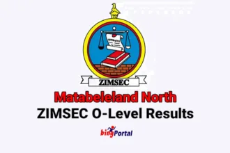 Matabeleland North ZIMSEC O level results 2023 – Check here