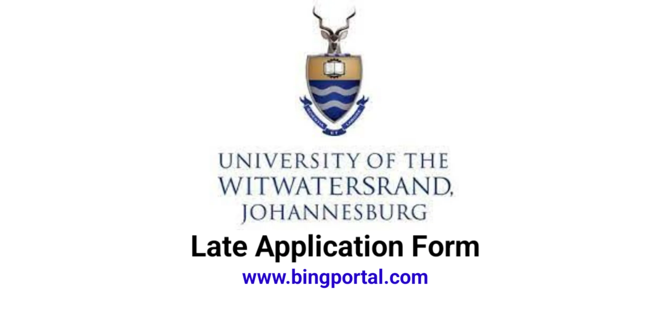 WITS Late application form 2024 How to Apply bing portal