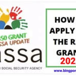 SASSA SRD Grant application 2024 - How to Apply