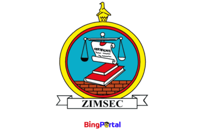 Manicaland ZIMSEC O level results 2025 – Check here