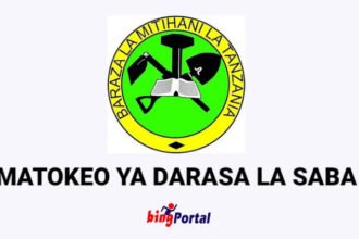 NECTA Matokeo Ya Darasa La Saba Dodoma Region 2025