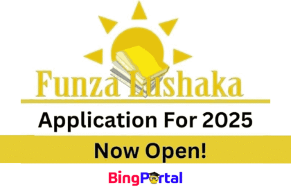 Funza Lushaka Bursary 2025 Online Application - Apply Online